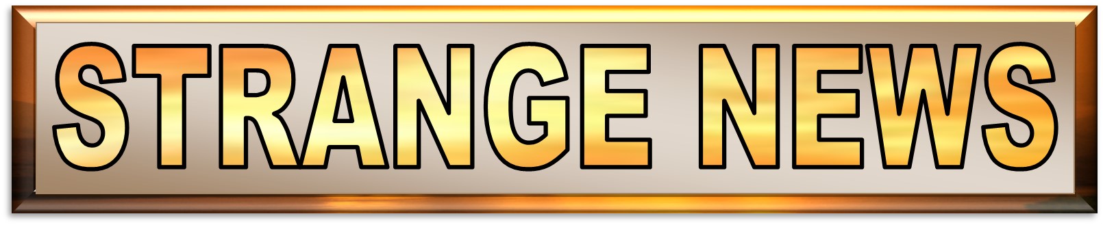 STRANGE NEWS WEBSITE HEADER 8-9-2022 STRANGE NEWS WEBSITE HEADER 8-9-2022